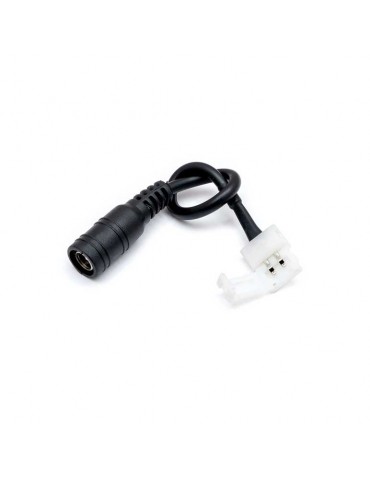 Conector Hembra con cable Tiras Led Monocolor DC12/24V - 3