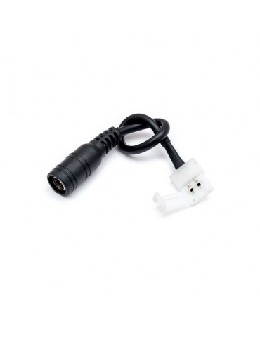 Conector Hembra con cable Tiras Led SMD5050 12-24VDC - 4