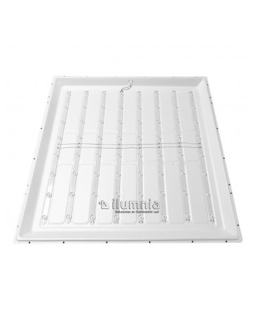 PANEL LED back light 42W 600x600mm