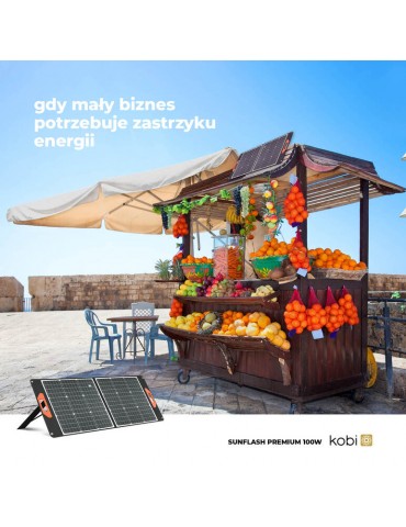 PANEL SOLAR PORTATIL PLEGABLE 100W SUNFLASH - 8