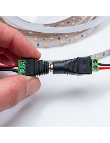 Conector Jack Macho para Tiras de Led 12/24VDC - 3