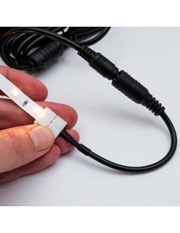Conector Hembra con cable Tiras Led SMD5050 12-24VDC - 3