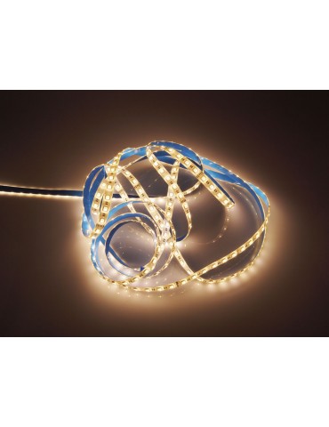 Tira Led 24VDC RGB/W IP20 16 W/M 120° SMD5050 - 8