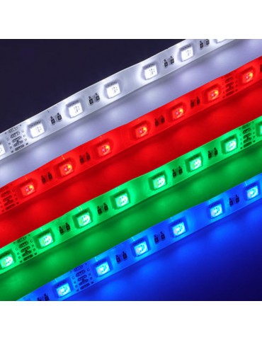 Tira Led 24VDC RGB/W IP20 16 W/M 120° SMD5050 - 3
