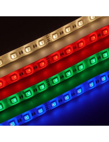 Tira Led 24VDC RGB/W IP20 16 W/M 120° SMD5050 - 10