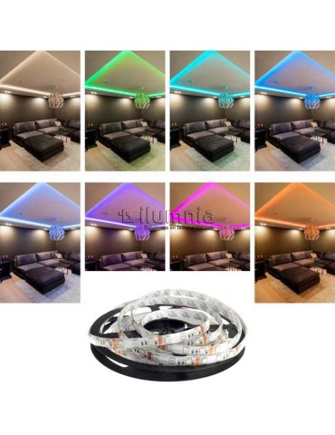 Tira Led 24V RGB 72W 300Leds 5m SMD5050 - 5