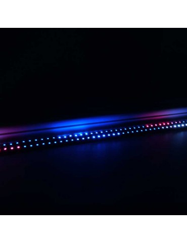 Tira Led 24V RGB 72W 300Leds 5m SMD5050 - 7