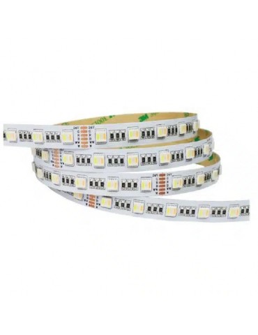Tira Led RGB CCT 24V 5050 300Led - 2