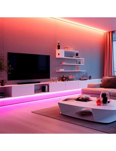 Tira Led RGB CCT 24V 5050 300Led - 4