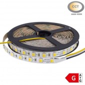 Tira Led CCT 24V SMD5025 300Led - 1