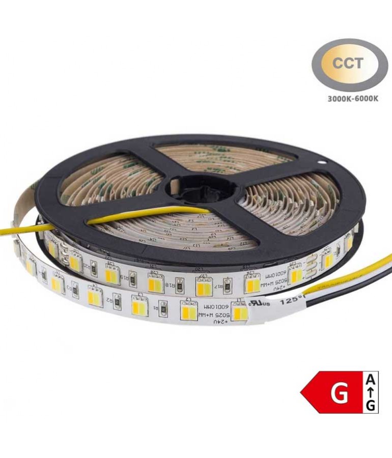 Tira Led CCT 24V SMD5025 300Led - 1