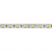 Tira Led CCT 24V SMD5025 300Led - 7