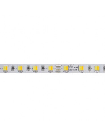 Tira Led CCT 24V SMD5025 300Led - 7