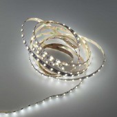 Tira Led CCT 24V SMD5025 300Led - 3