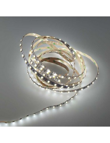 Tira Led CCT 24V SMD5025 300Led - 3