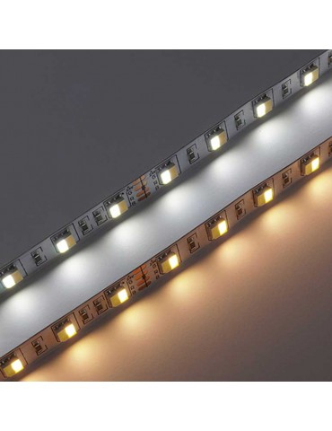 Tira Led CCT 24V SMD5025 300Led - 2