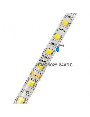 Tira Led CCT 24V IP65 SMD5025 300Led - 9