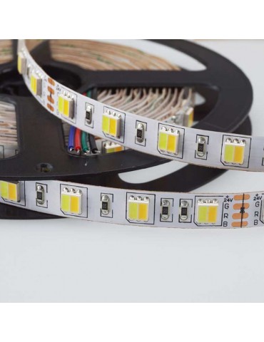 Tira Led CCT 24V IP65 SMD5025 300Led - 10