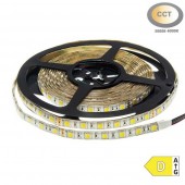 Tira Led CCT 24V IP65 SMD5025 300Led - 13