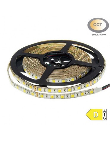 Tira Led CCT 24V IP65 SMD5025 300Led - 13
