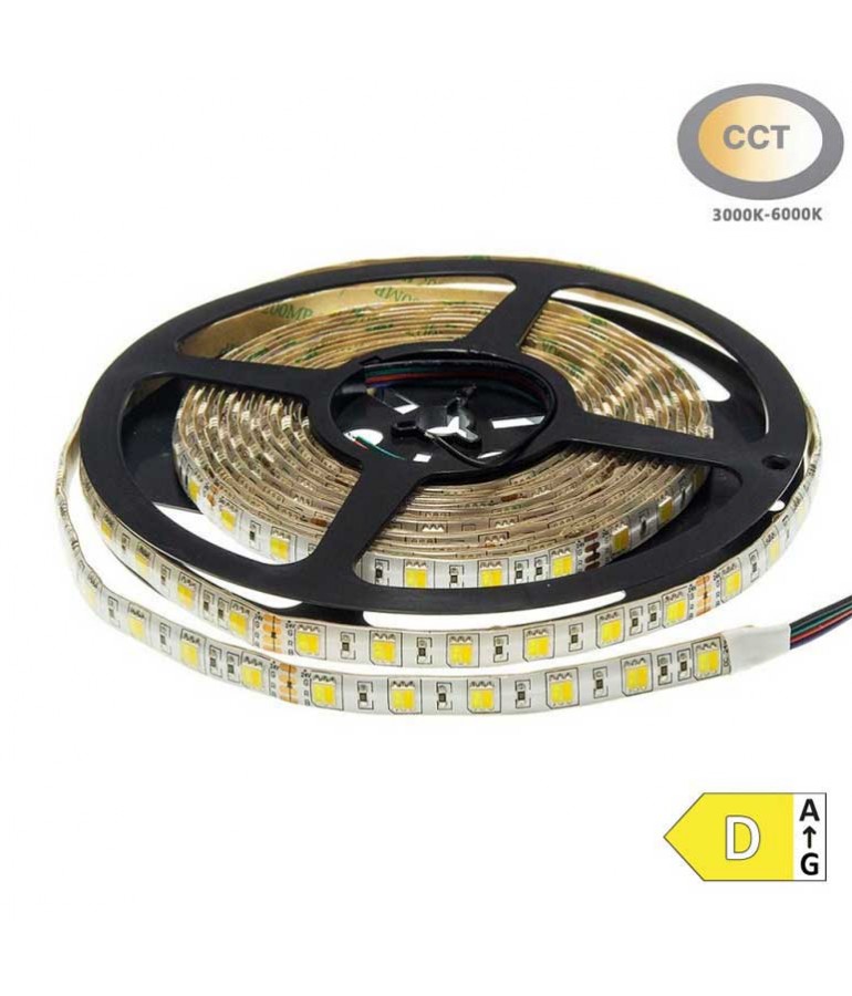 Tira Led CCT 24V IP65 SMD5025 300Led - 13