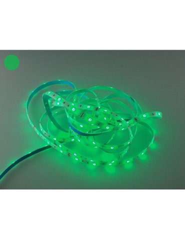 Tira Led 12V RGB 30 SMD5050/m 7,2W/m IP65 - 5