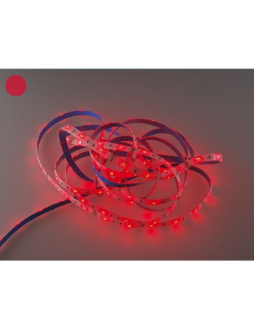 Tira Led 12V RGB 30 SMD5050/m 7,2W/m IP65 - 4
