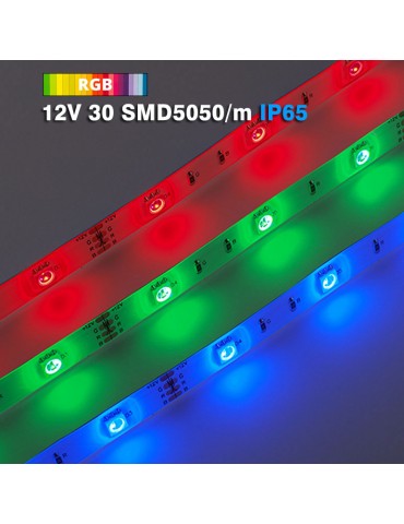 Tira Led 12V RGB 30 SMD5050/m 7,2W/m IP65 - 2