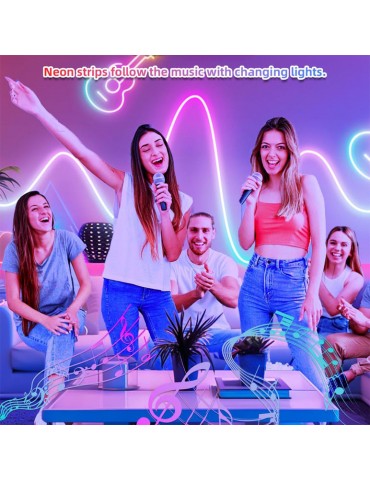 NEON RGB FLEX LED MAGIC 24V RF 5m - 6