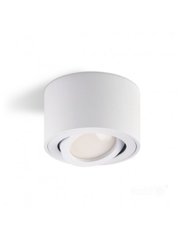 Aplique de techo basculante OH36S Blanco - 1