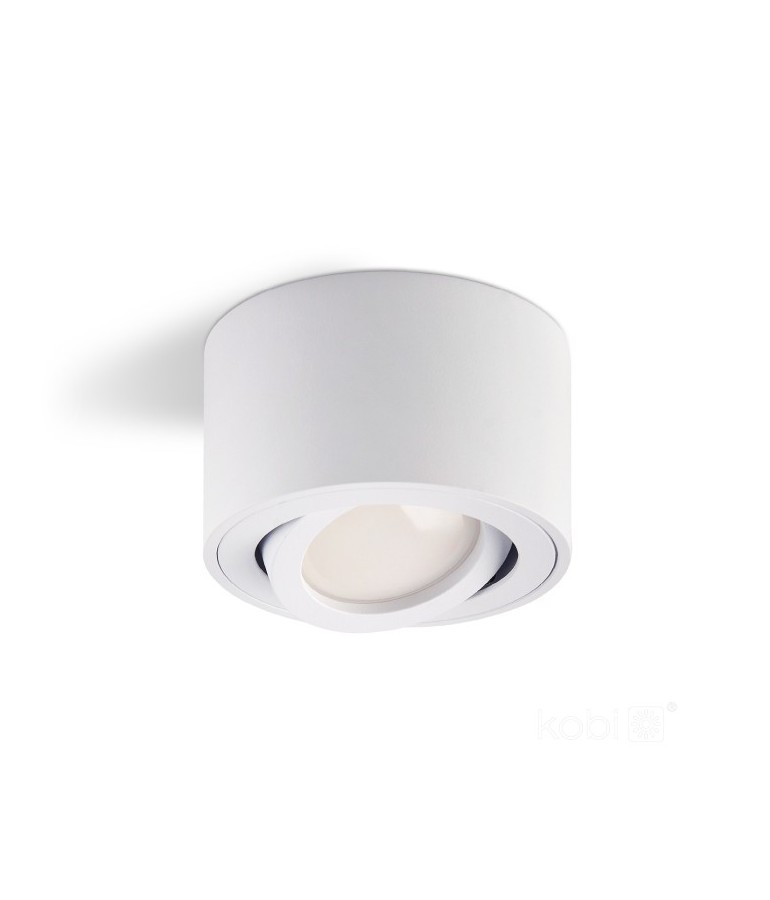 Aplique de techo basculante OH36S Blanco - 1