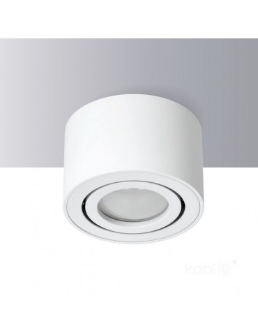 Aplique de techo basculante OH36S Blanco - 3
