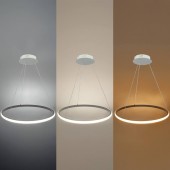 Lámpara 30W LED CCT colgante Regulable blanco Ø50cm - 3