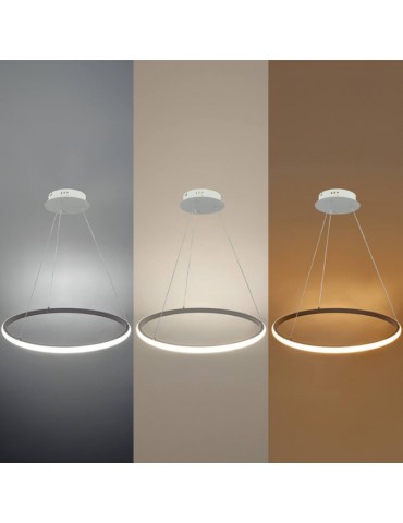 Lámpara 30W LED CCT colgante Regulable blanco Ø50cm - 3
