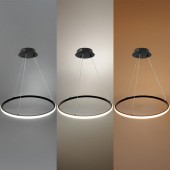 Lámpara 30W LED CCT colgante Regulable negro Ø50cm - 2