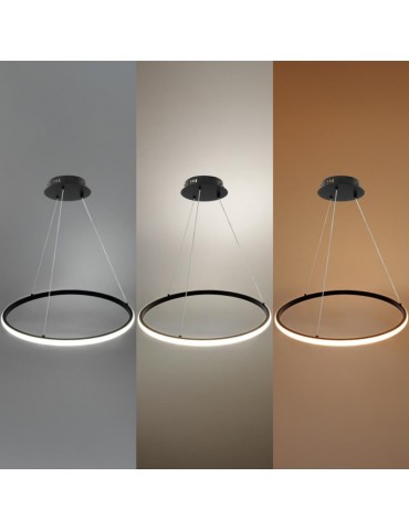 Lámpara 30W LED CCT colgante Regulable negro Ø50cm - 2