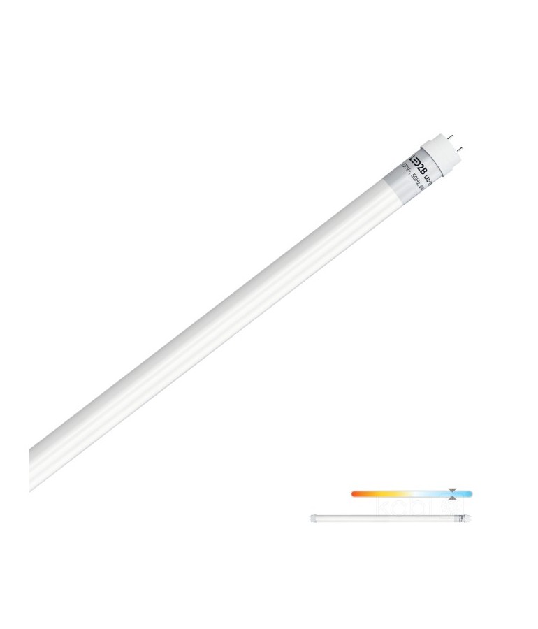 Tubo LED T8 60cm 9W Cristal 360° 6400ºK Blanco frío - 1