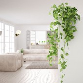 Aplique pared ESFERA ELEGANCE BL GOLD 1xG9 - 2
