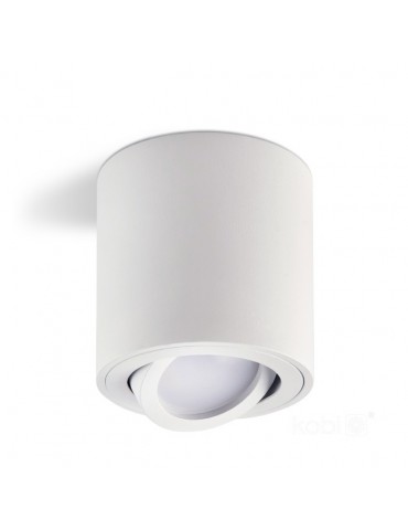 Aplique de techo basculante OH36 Blanco - 1