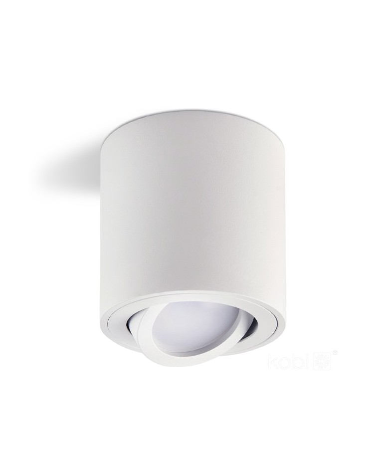 Aplique de techo basculante OH36 Blanco - 1