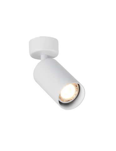 Aplique de techo GU10 NUUK Blanco Basculante - 1