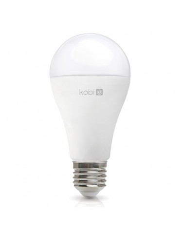 LED Estándar A95 25W E27 HTPC+Aluminio 220° - 1