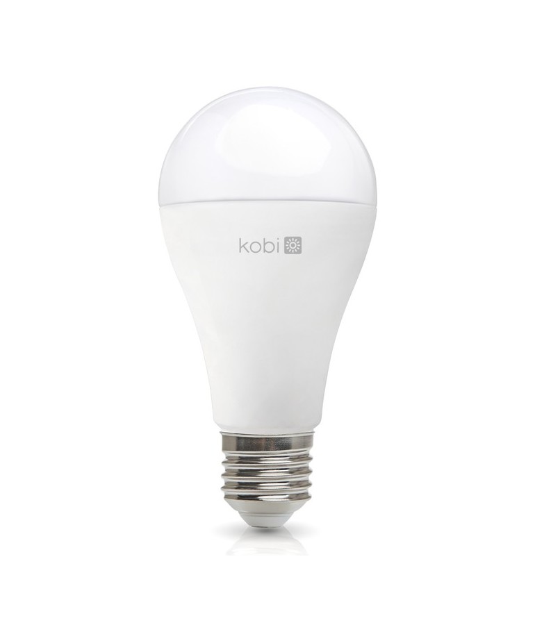 LED Estándar A95 25W E27 HTPC+Aluminio 220° - 1