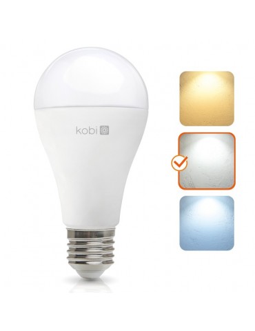 LED Estándar A95 25W E27 HTPC+Aluminio 220° - 6