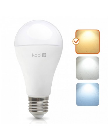LED Estándar A95 25W E27 HTPC+Aluminio 220° - 8