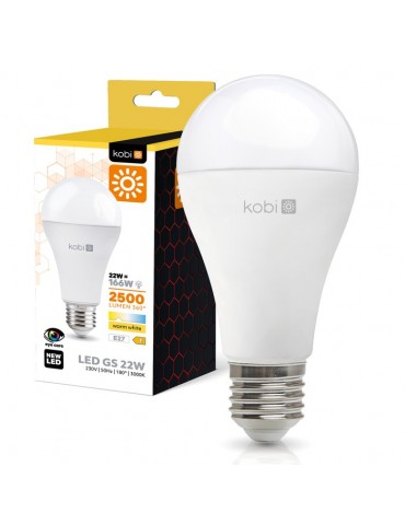 LED Estándar A95 25W E27 HTPC+Aluminio 220° - 7