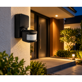 Sensor Detector Orientable Pared PIR Exterior IP54 - 2
