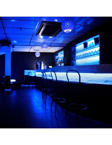 TIRA DE LED NEÓN AC230V 14,4W/m IP65 120°AZUL SMD3528impermeable