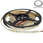 Tira Led 24VDC 16W IP65 120° SMD5054 80W - 1