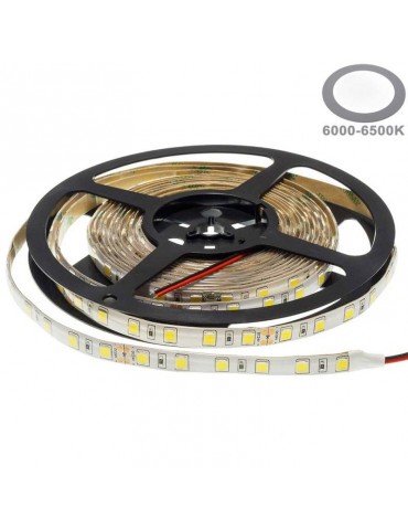 Tira Led 24VDC 16W IP65 120° SMD5054 80W - 1